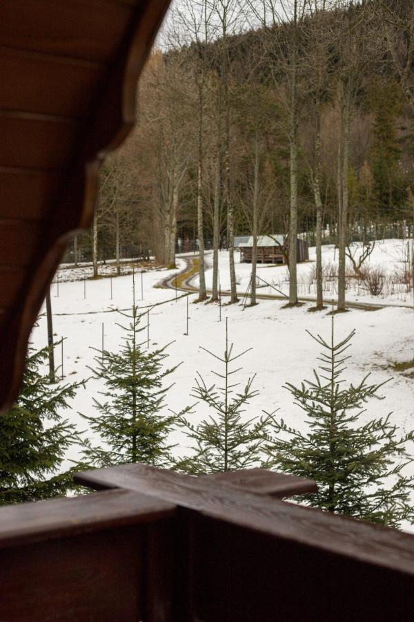 Golden Apartments Zakopane- One Bedroom Apartment - Mountain View&B14 外观 照片