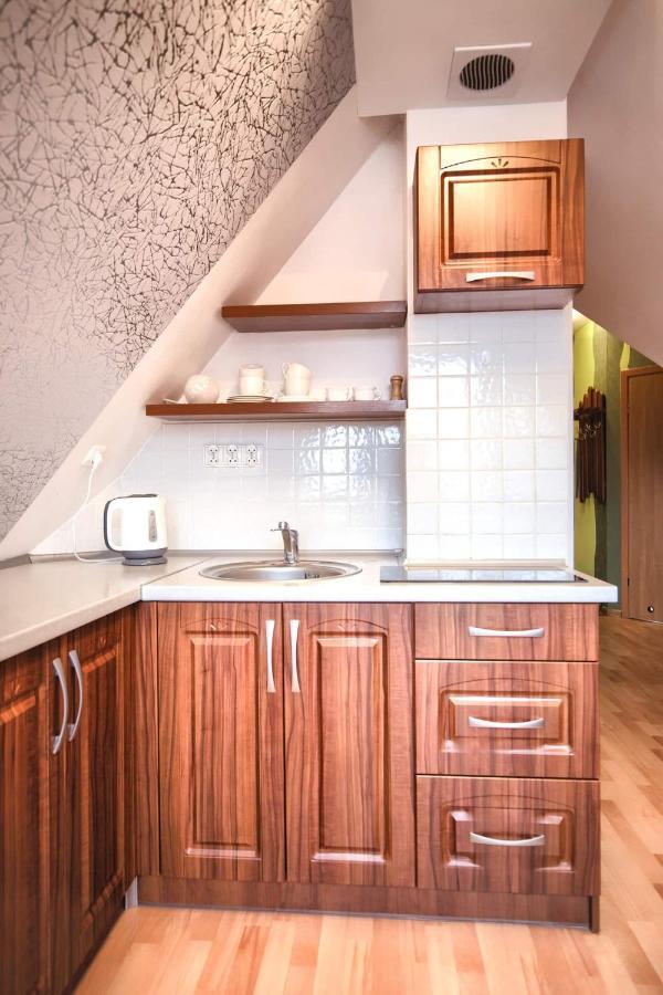 Golden Apartments Zakopane- One Bedroom Apartment - Mountain View&B14 外观 照片